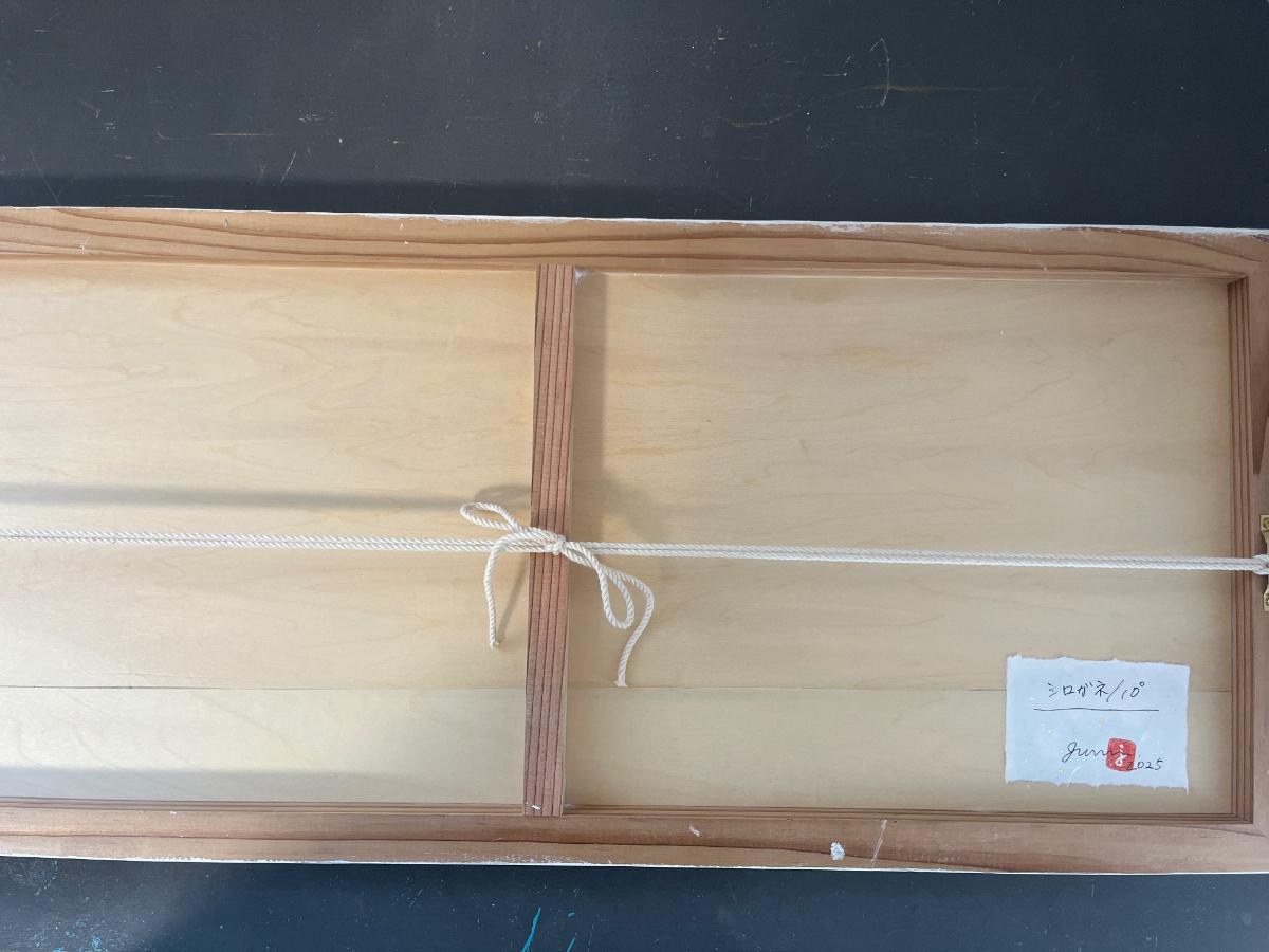 シロガネ/10° - FROM ARTIST