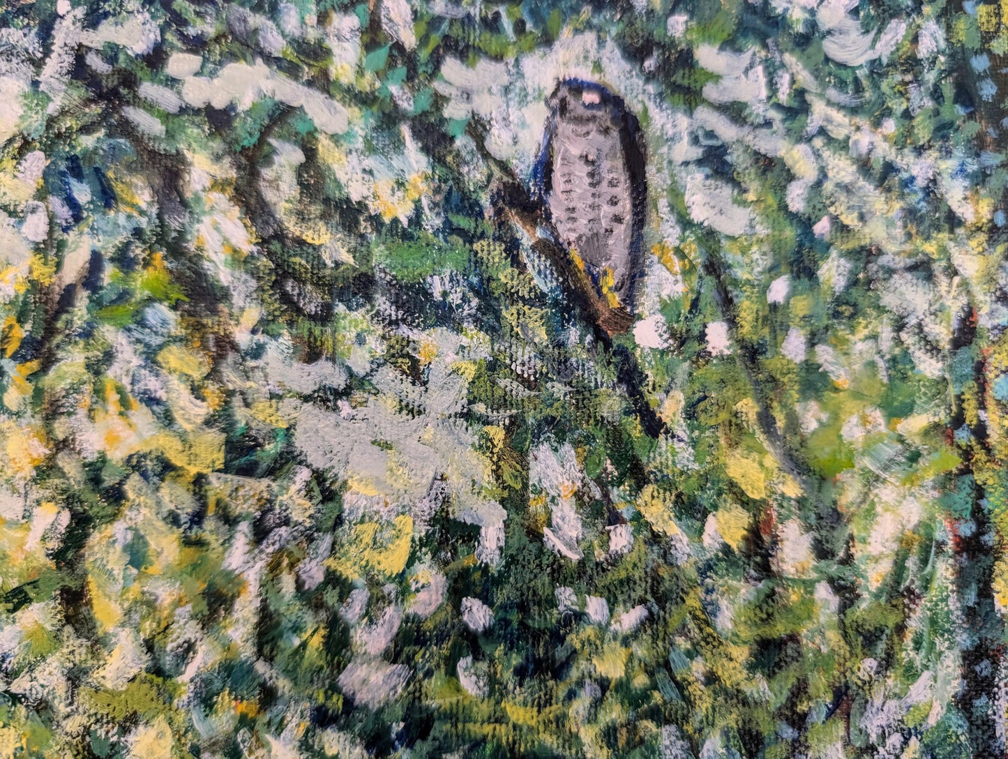 『100年続く森(The forest that lasts 100 years)』 - FROM ARTIST