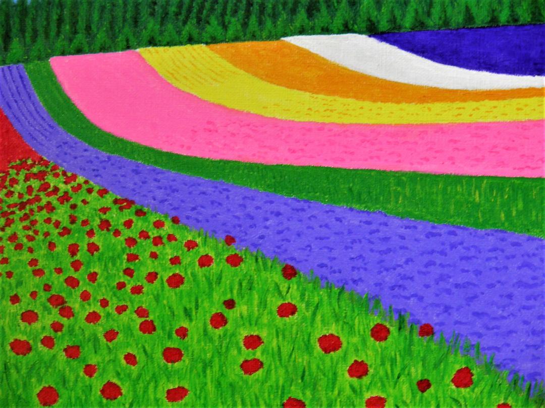 美瑛 富田ファームの花畑2 - FROM ARTIST