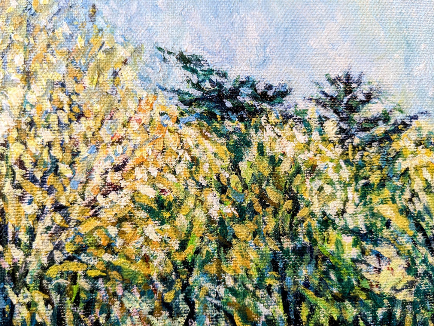 『春の森2(Forest in Spring 2)』 - FROM ARTIST