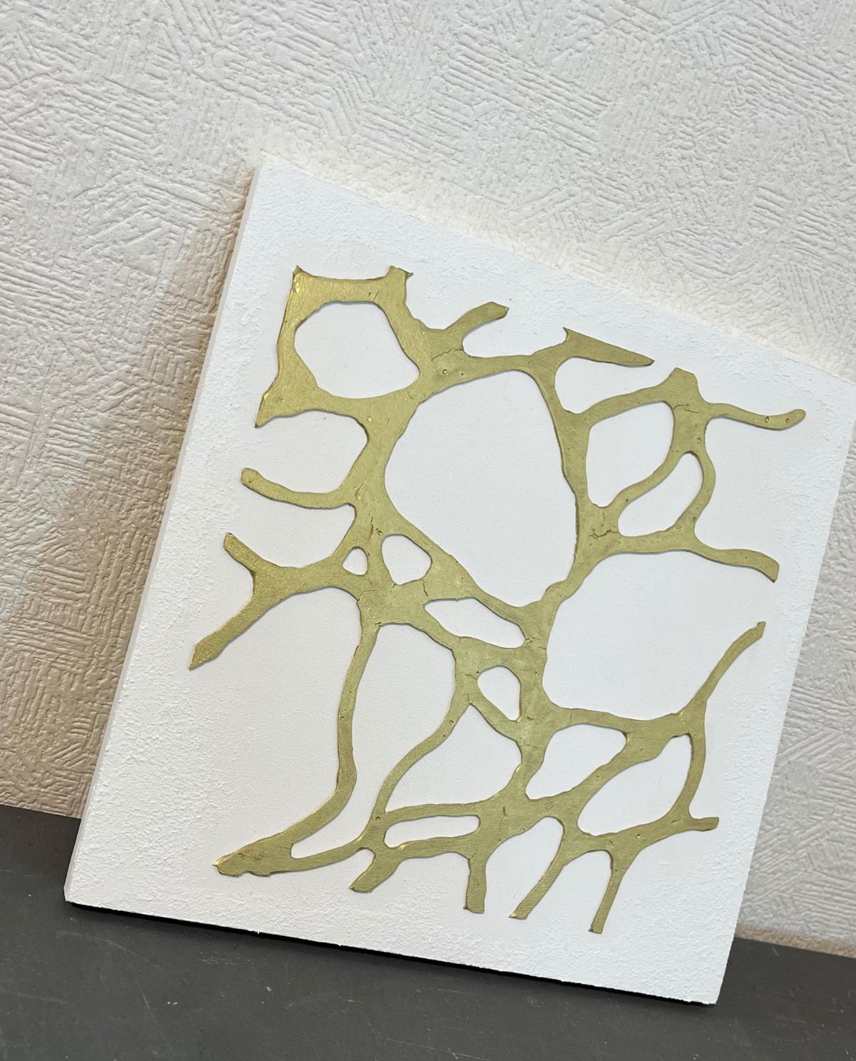 シロガネ/7° - FROM ARTIST