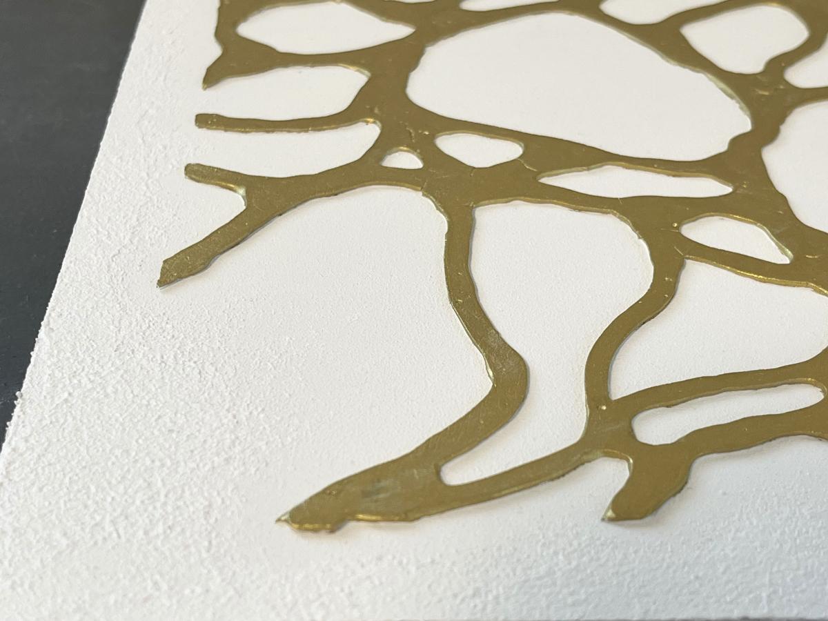 シロガネ/7° - FROM ARTIST