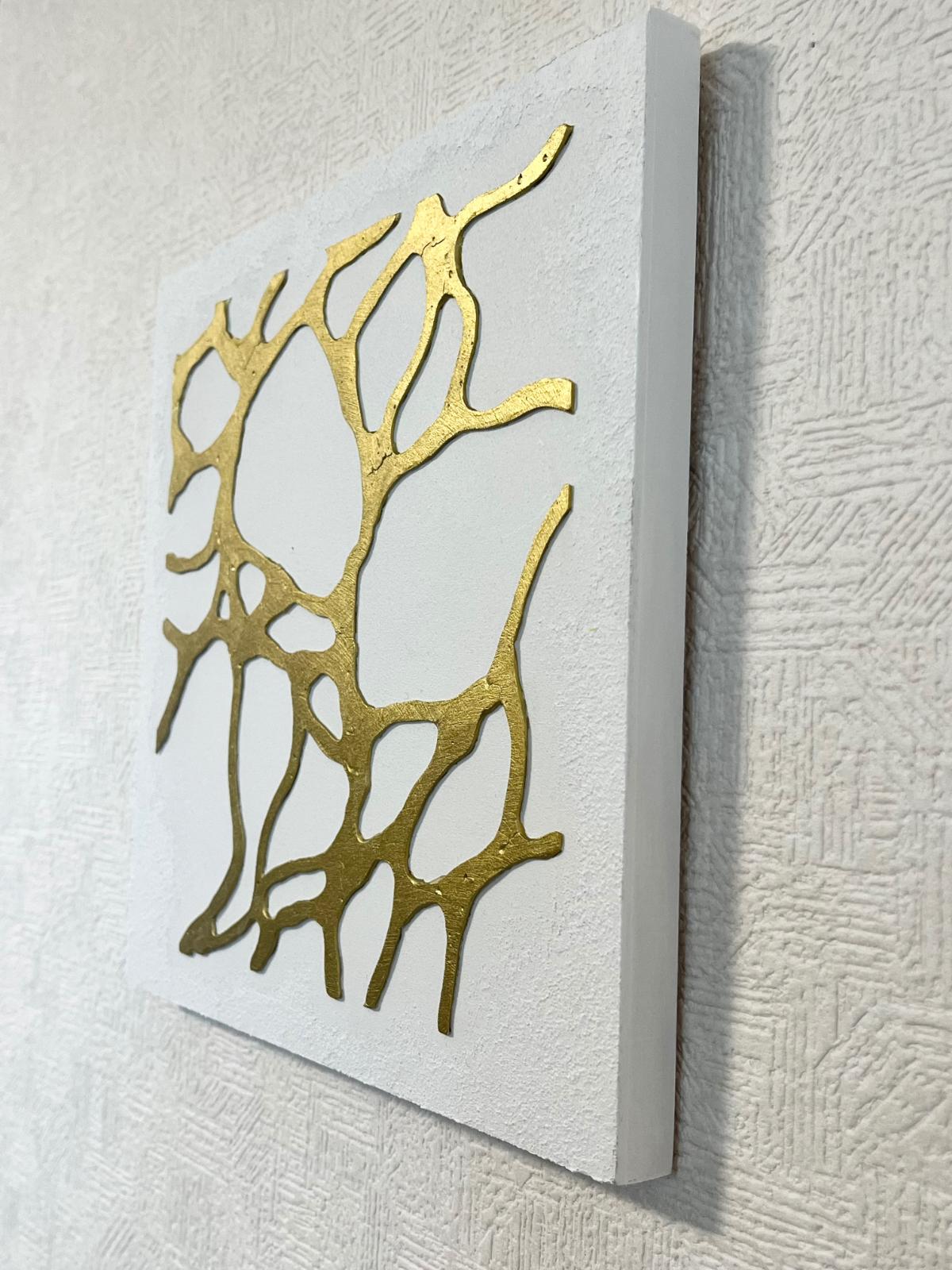 シロガネ/7° - FROM ARTIST