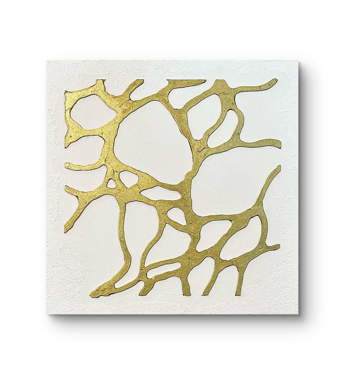 シロガネ/7° - FROM ARTIST