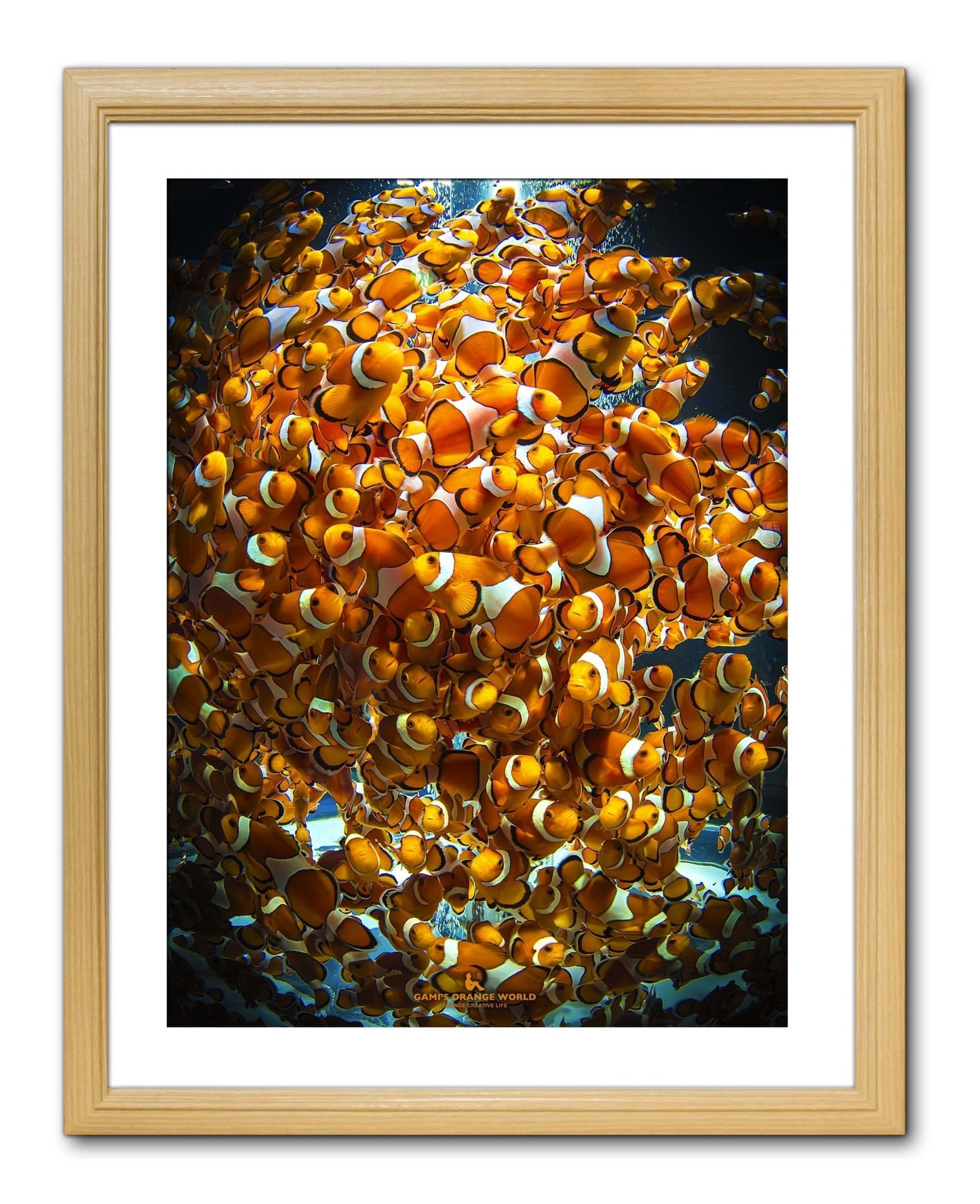 【額付アート写真/A3ノビ】HORDE OF ORANGE NIMO(ニモの大群) - FROM ARTIST