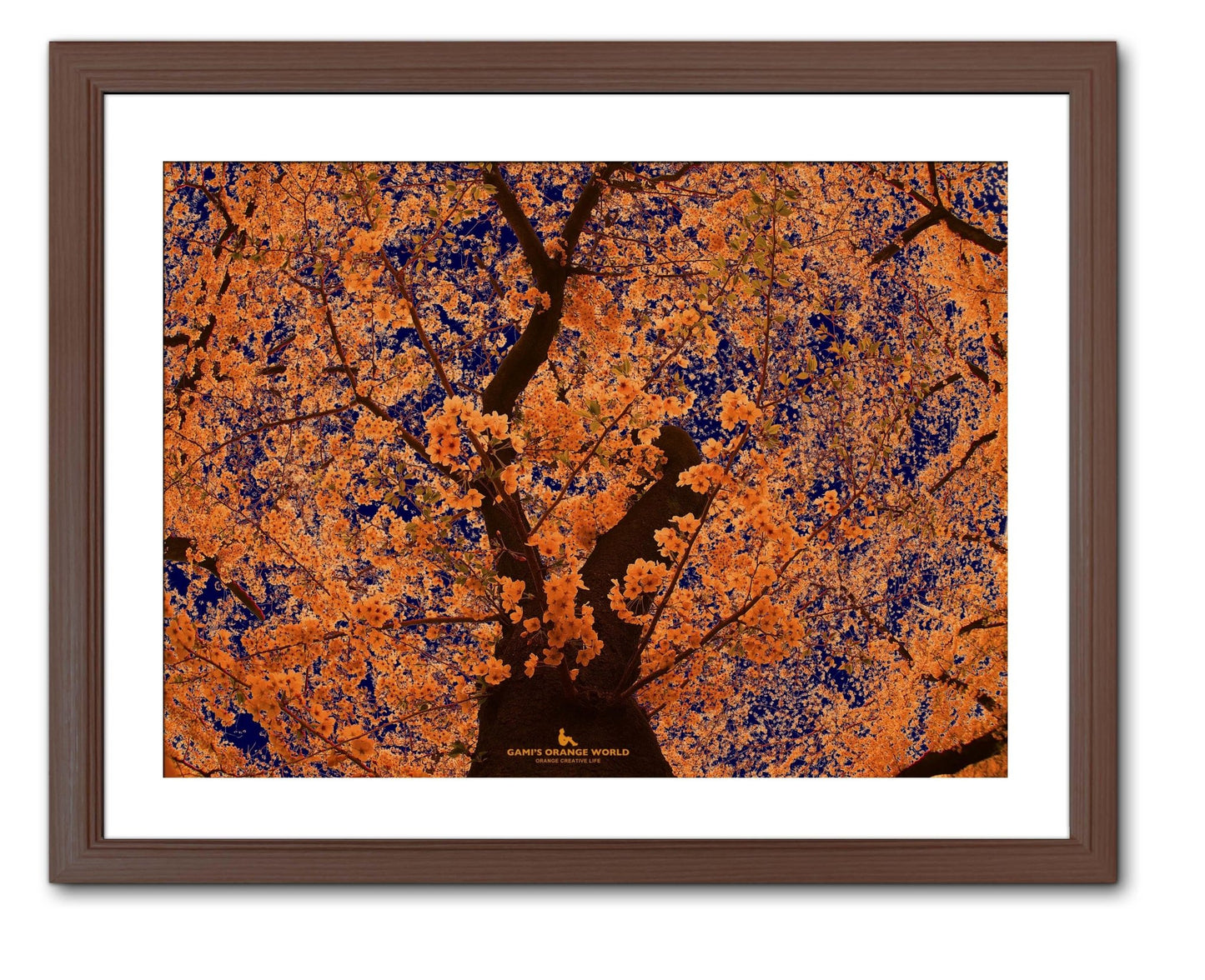 【額付アート写真/A3ノビ】ORANGE CHERRY TREE(オレンジの桜) - FROM ARTIST