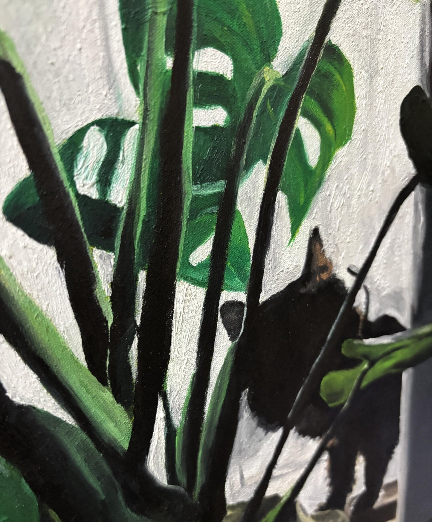 Daily - FROM ARTIST