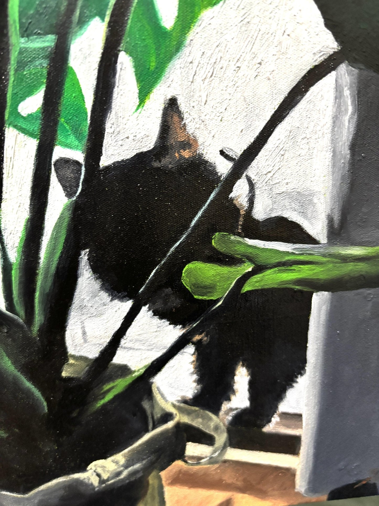 Daily - FROM ARTIST