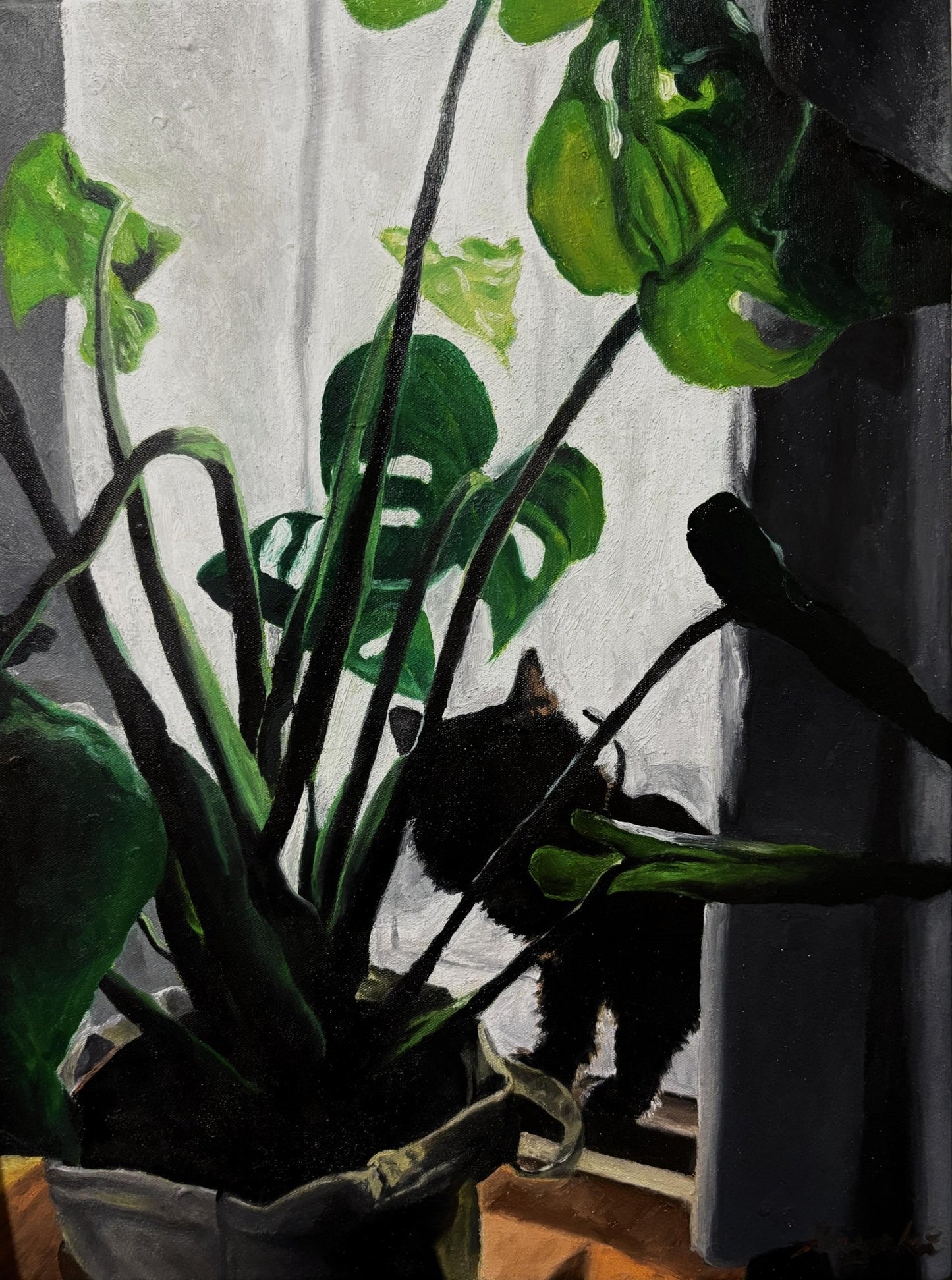 Daily - FROM ARTIST