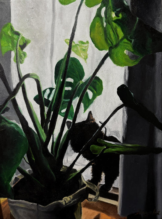 Daily - FROM ARTIST
