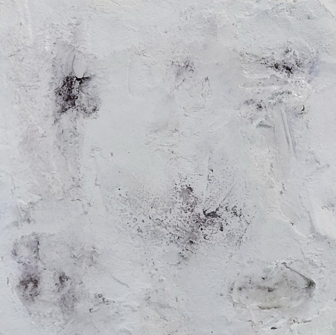 Ebb and Flow−海の呼吸 - FROM ARTIST