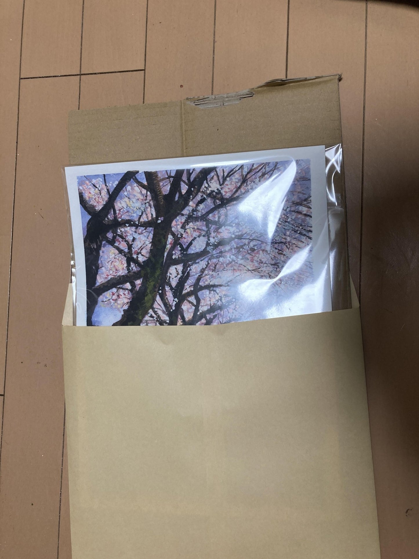 桜のアーチ in 横浜 - FROM ARTIST
