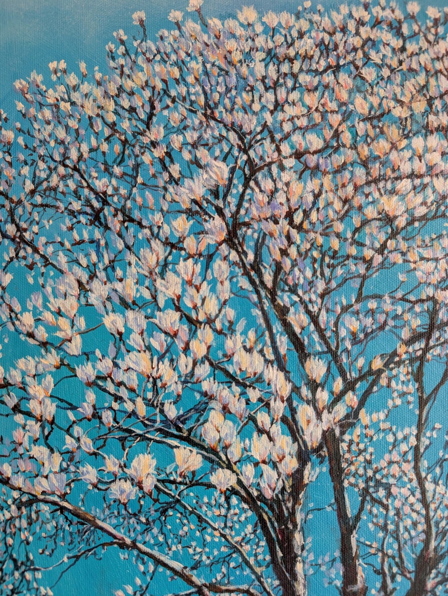 『木蓮(Magnolia)』 - FROM ARTIST