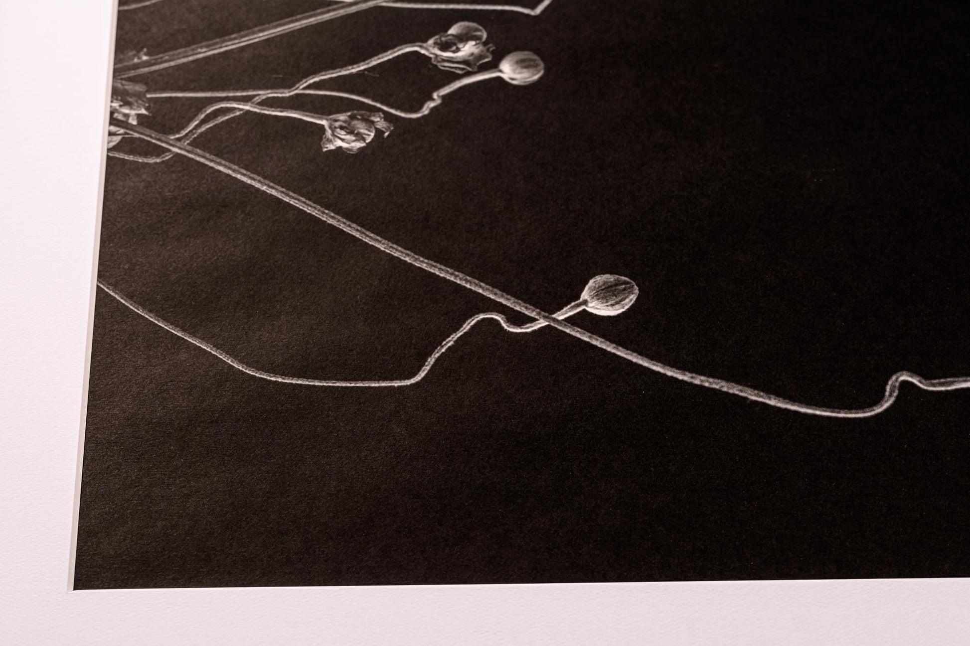 傾 - Nadare - FROM ARTIST