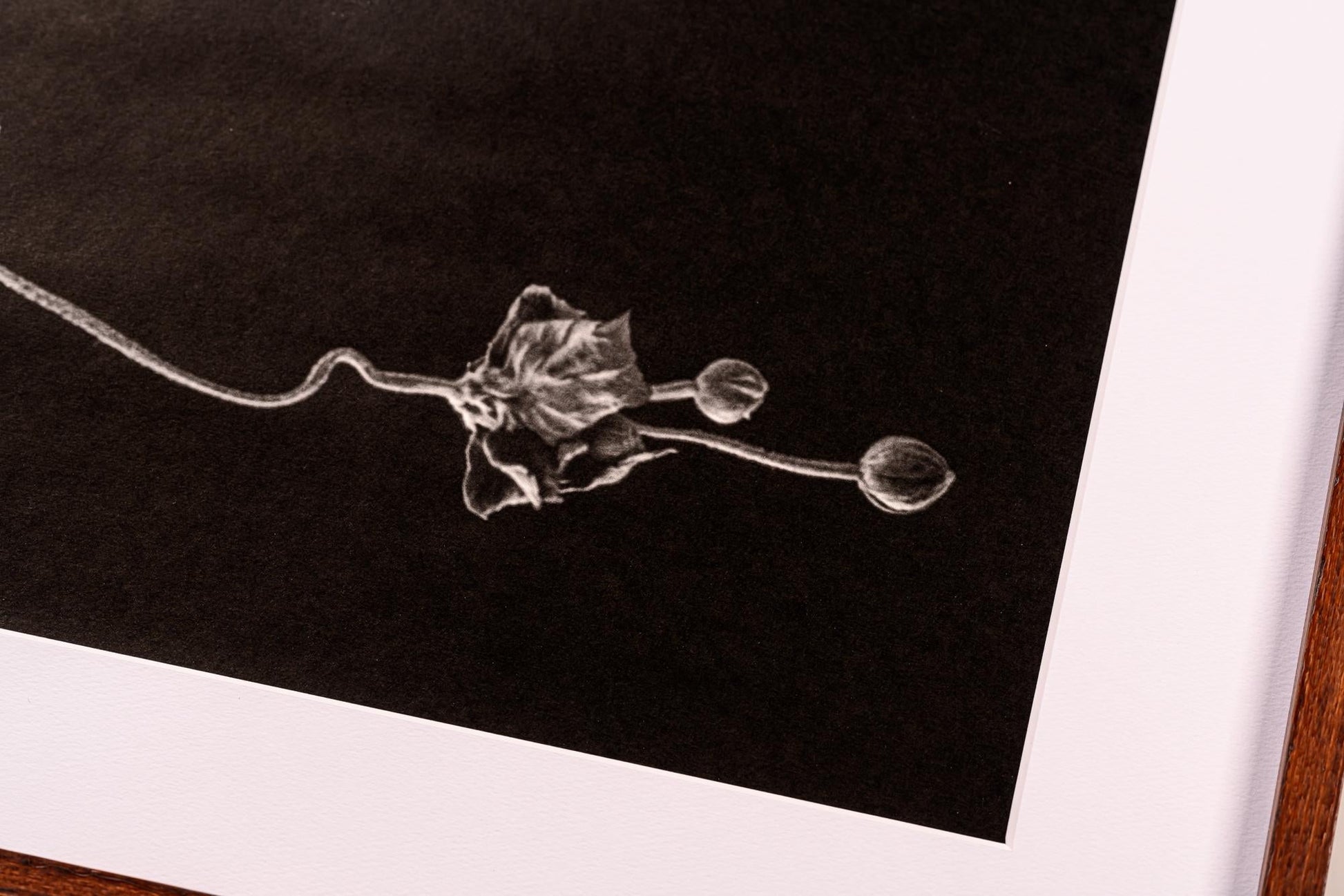 傾 - Nadare - FROM ARTIST