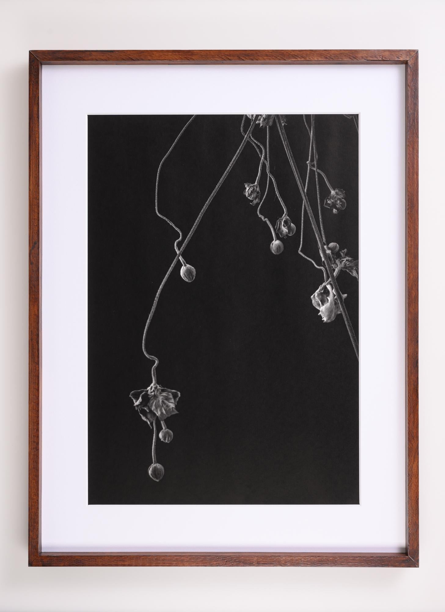 傾 - Nadare - FROM ARTIST