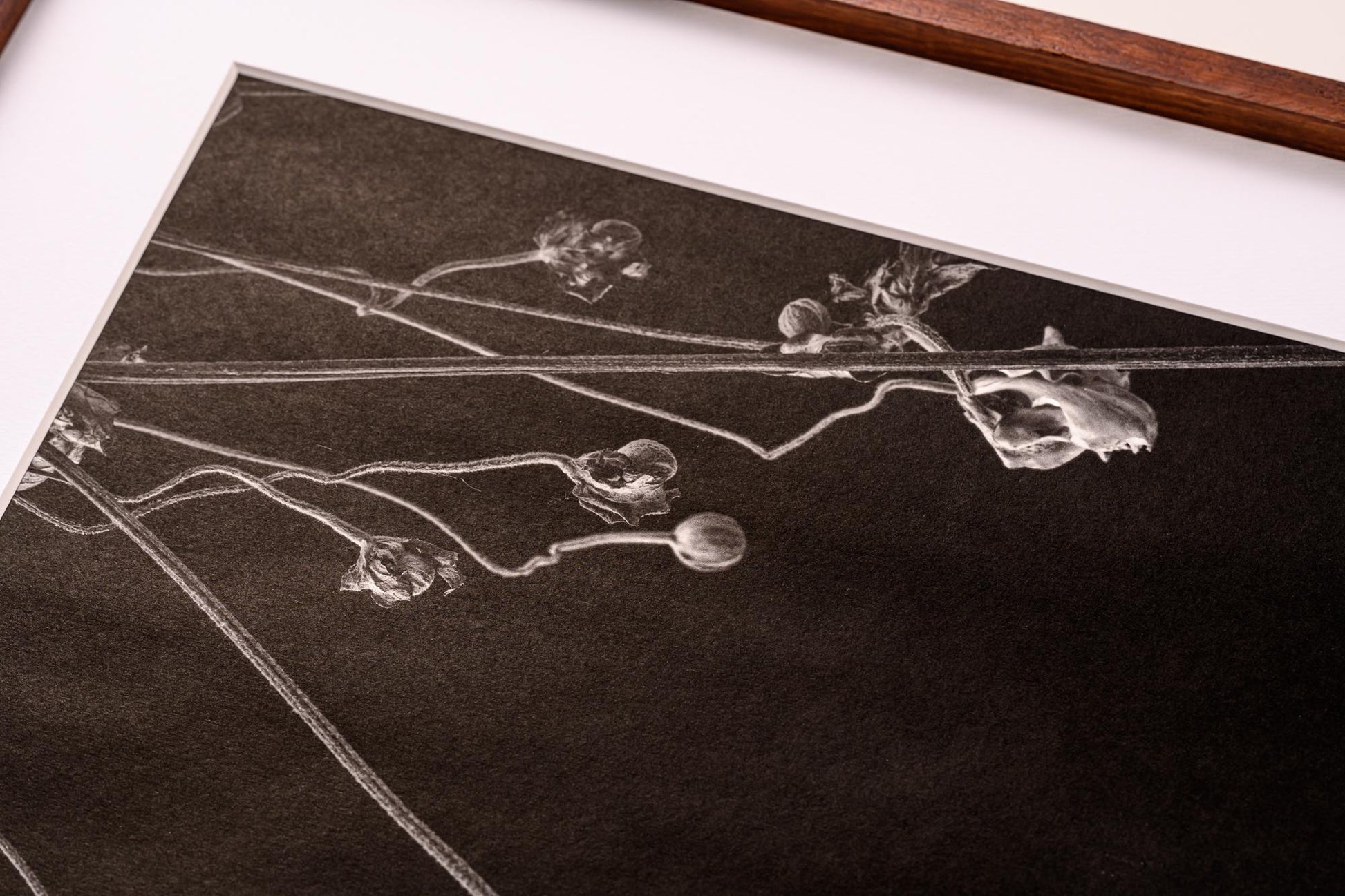 傾 - Nadare - FROM ARTIST