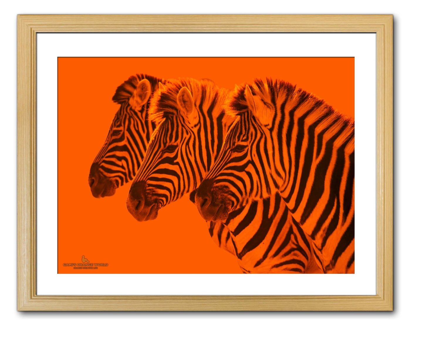 ORANGE ZEBRAS(オレンジのシマウマ達) - FROM ARTIST