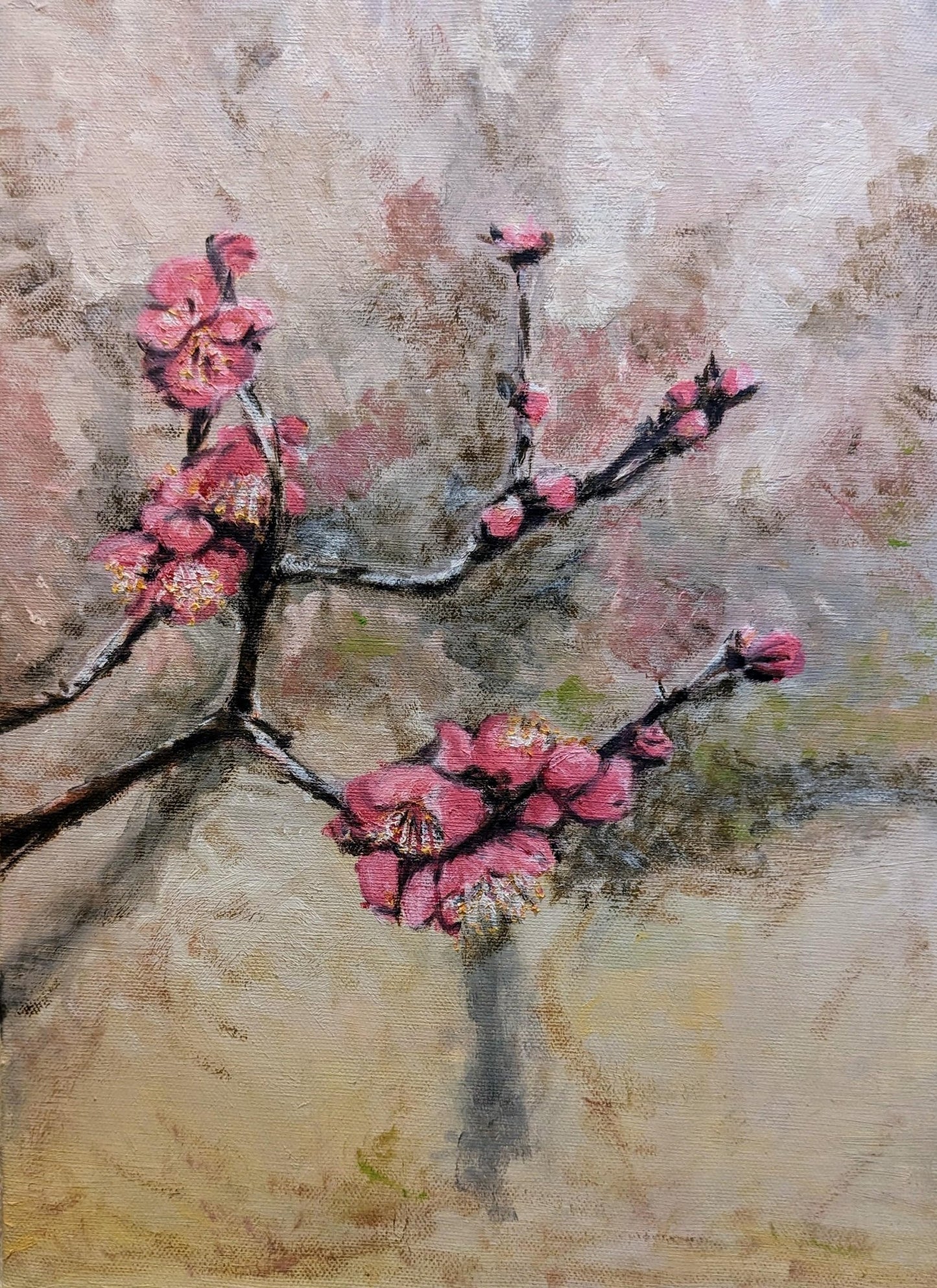 『梅(Plum tree in season)』 - FROM ARTIST