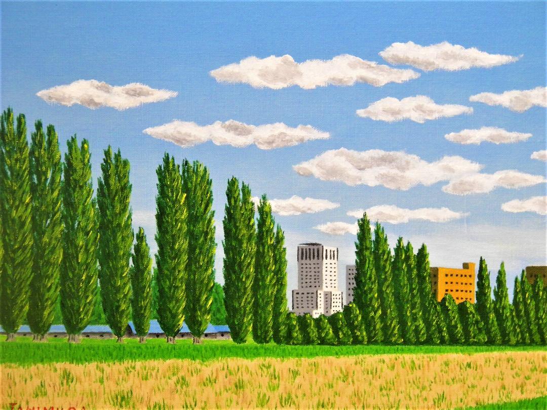 北大 ポプラ並木 - FROM ARTIST