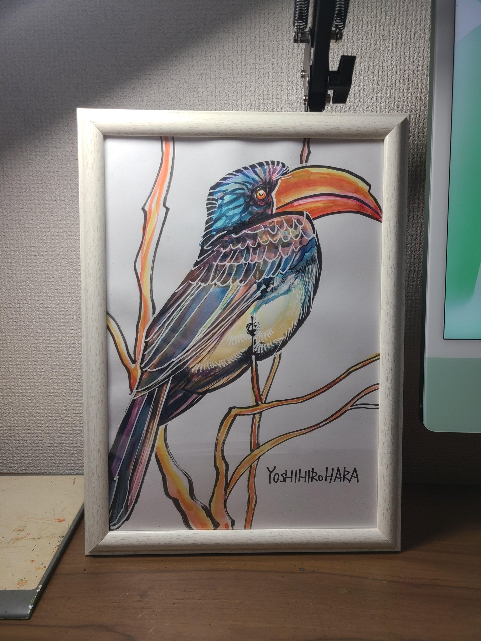 カンムリコサイチョウ - FROM ARTIST