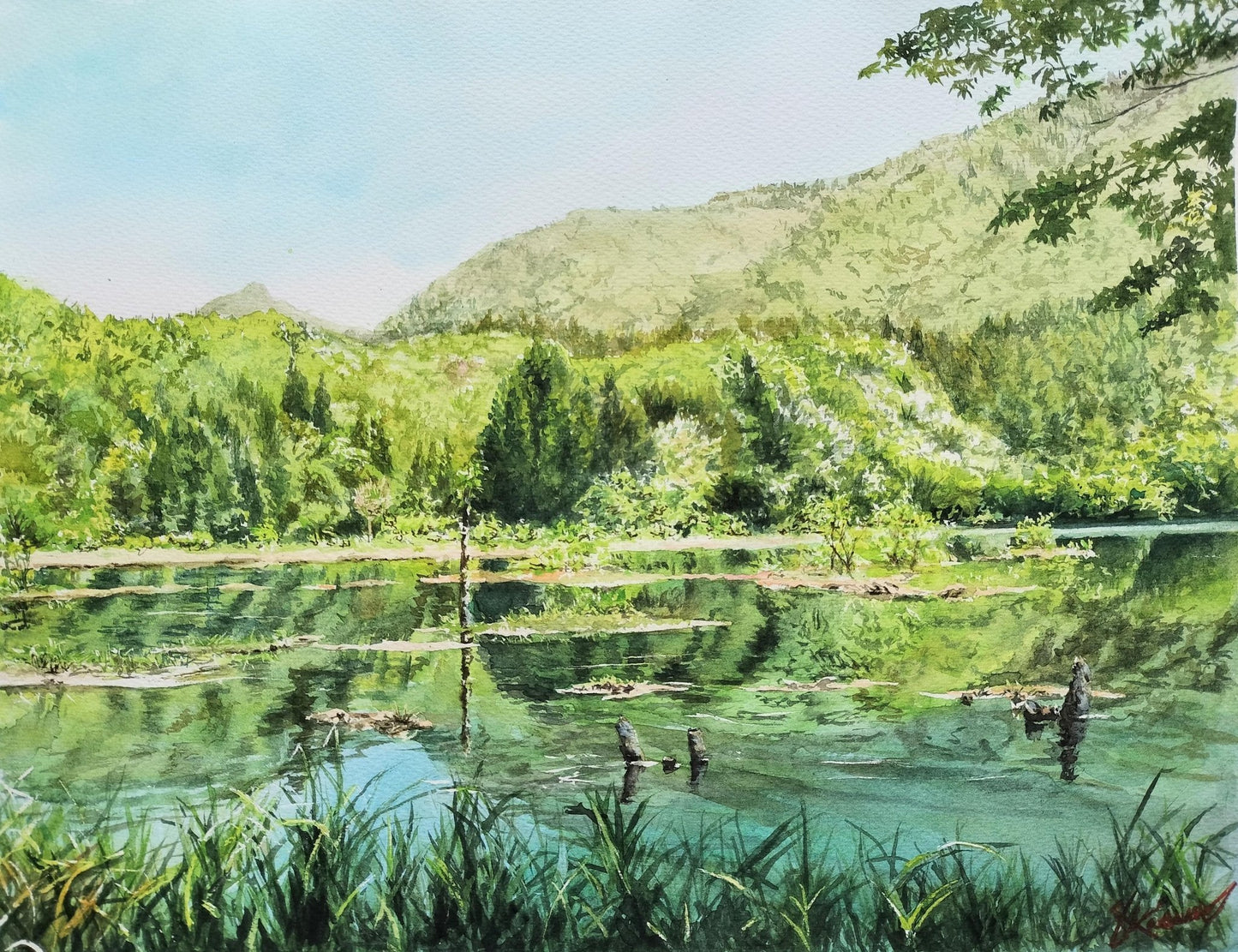 新緑の水面 - FROM ARTIST
