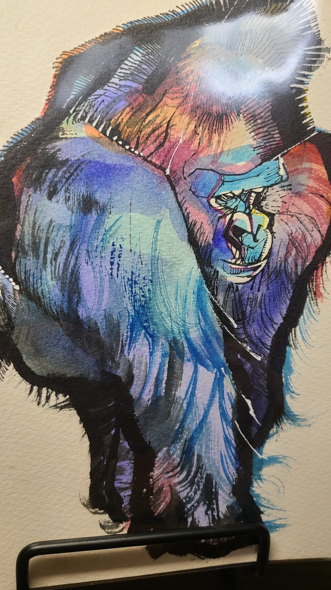 ニシゴリラのハオコ - FROM ARTIST