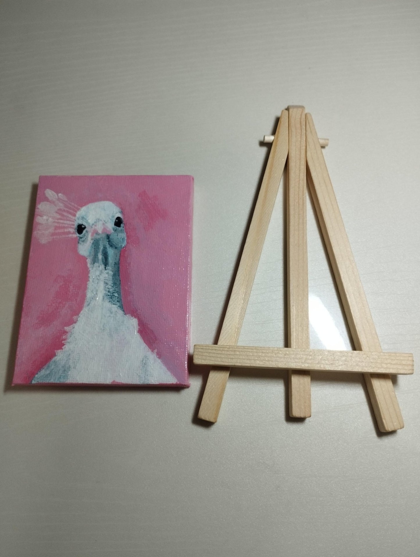 孔雀 - FROM ARTIST