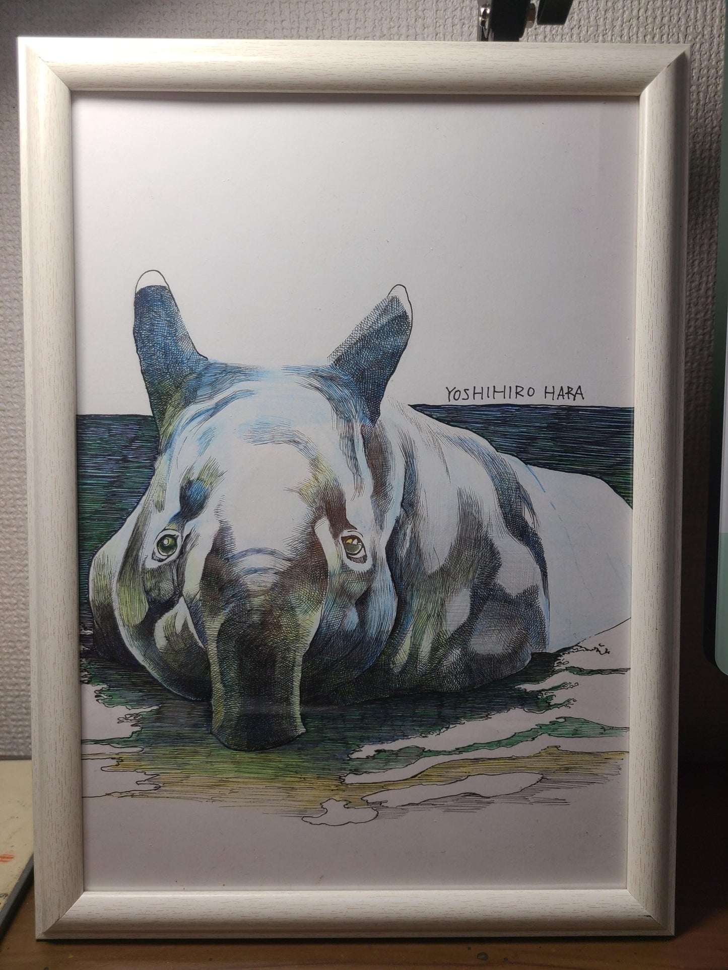バクの水浴び - FROM ARTIST