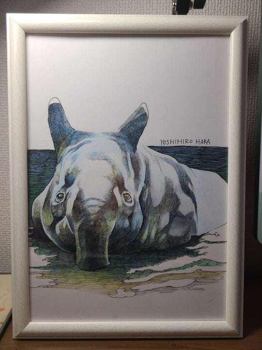 バクの水浴び - FROM ARTIST