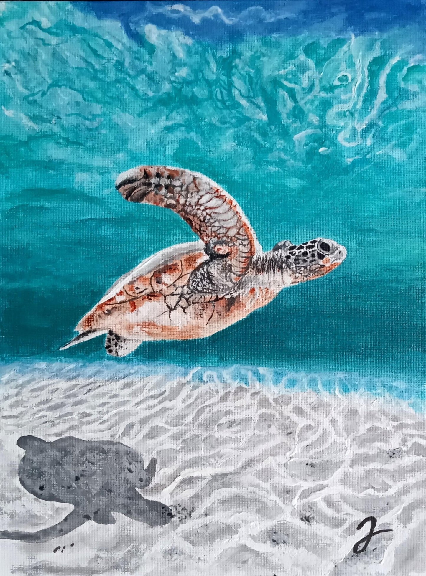 海の旅人 - FROM ARTIST