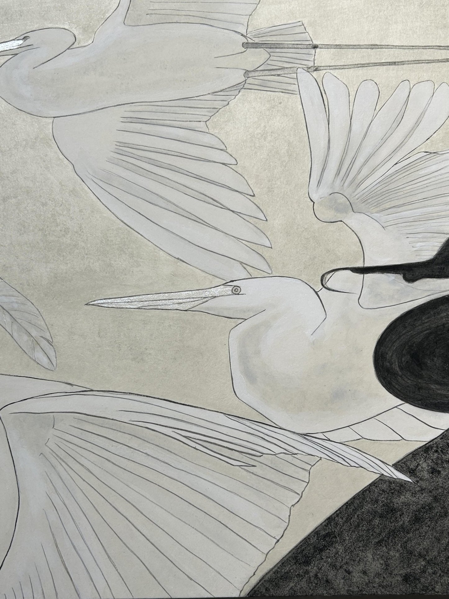 白いもの〜鳥〜 - FROM ARTIST