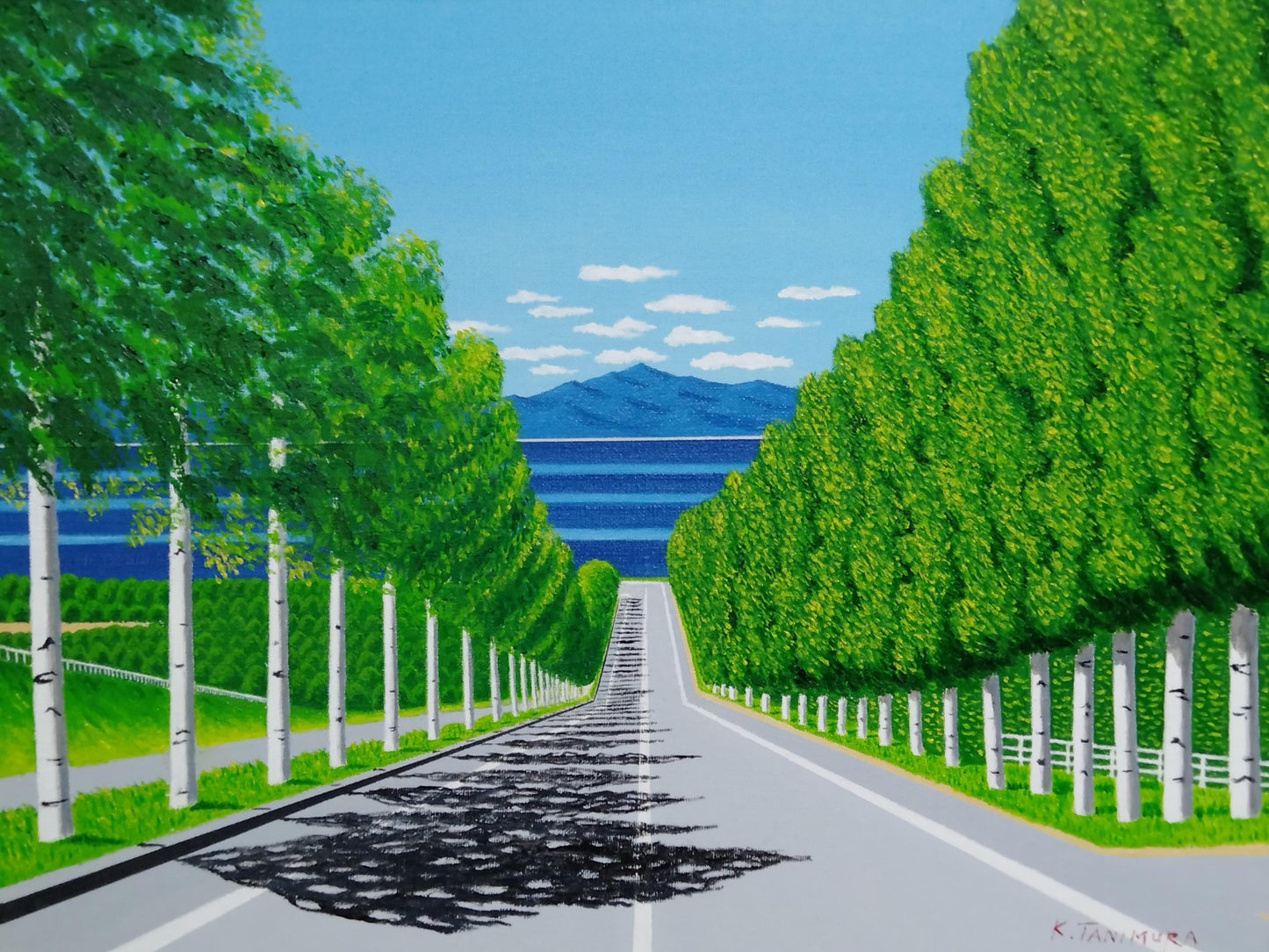 白樺 並木通り - FROM ARTIST