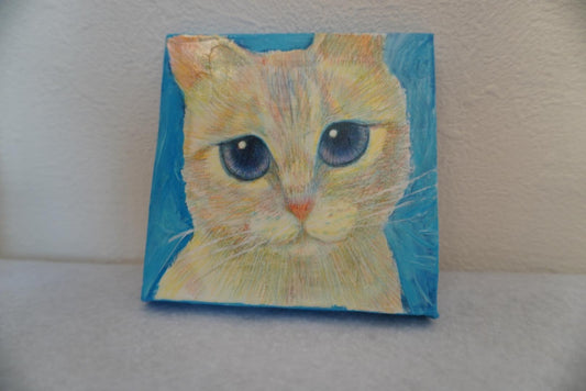 きれいな目 - FROM ARTIST