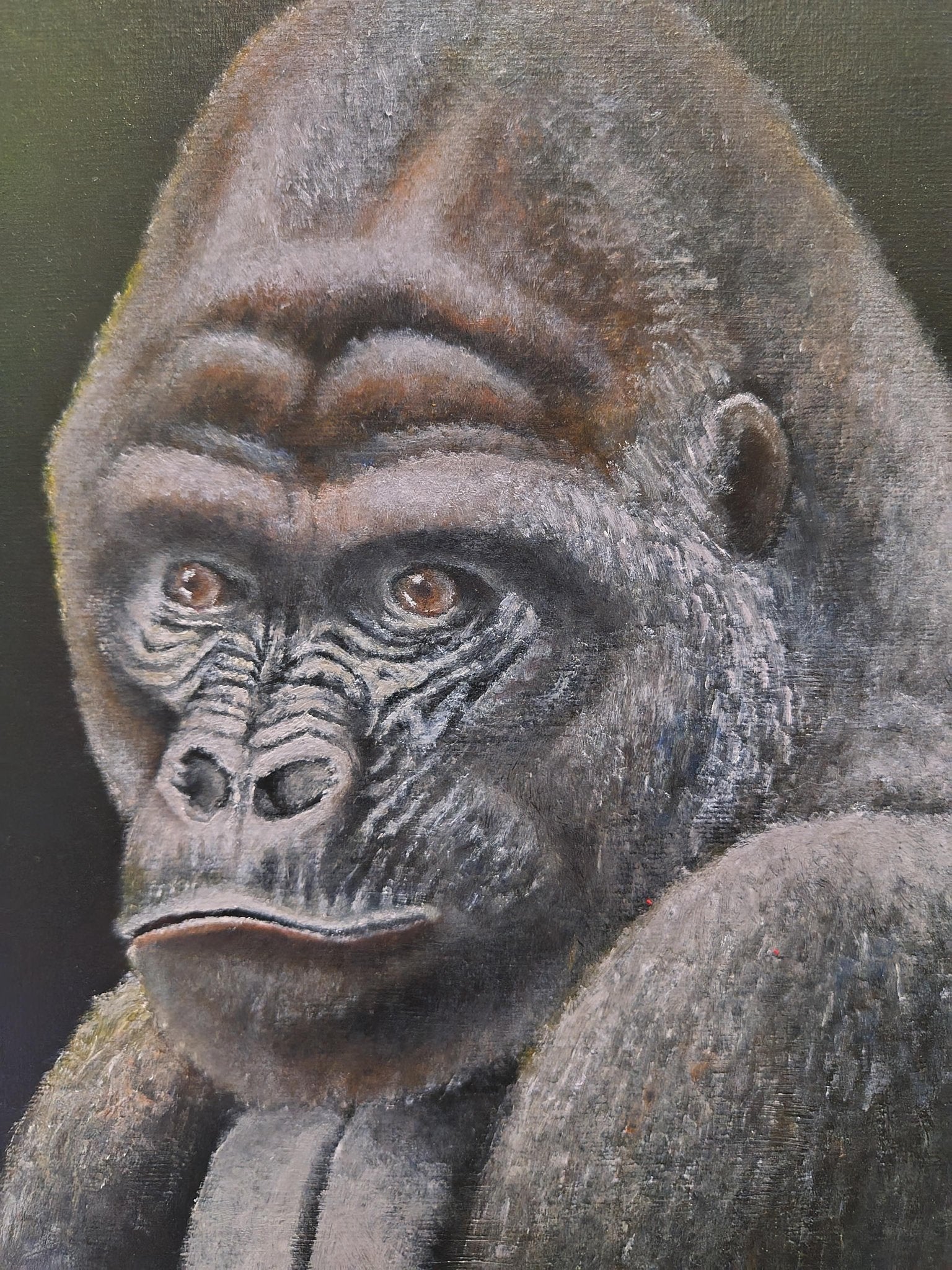 夜とイケメン - FROM ARTIST