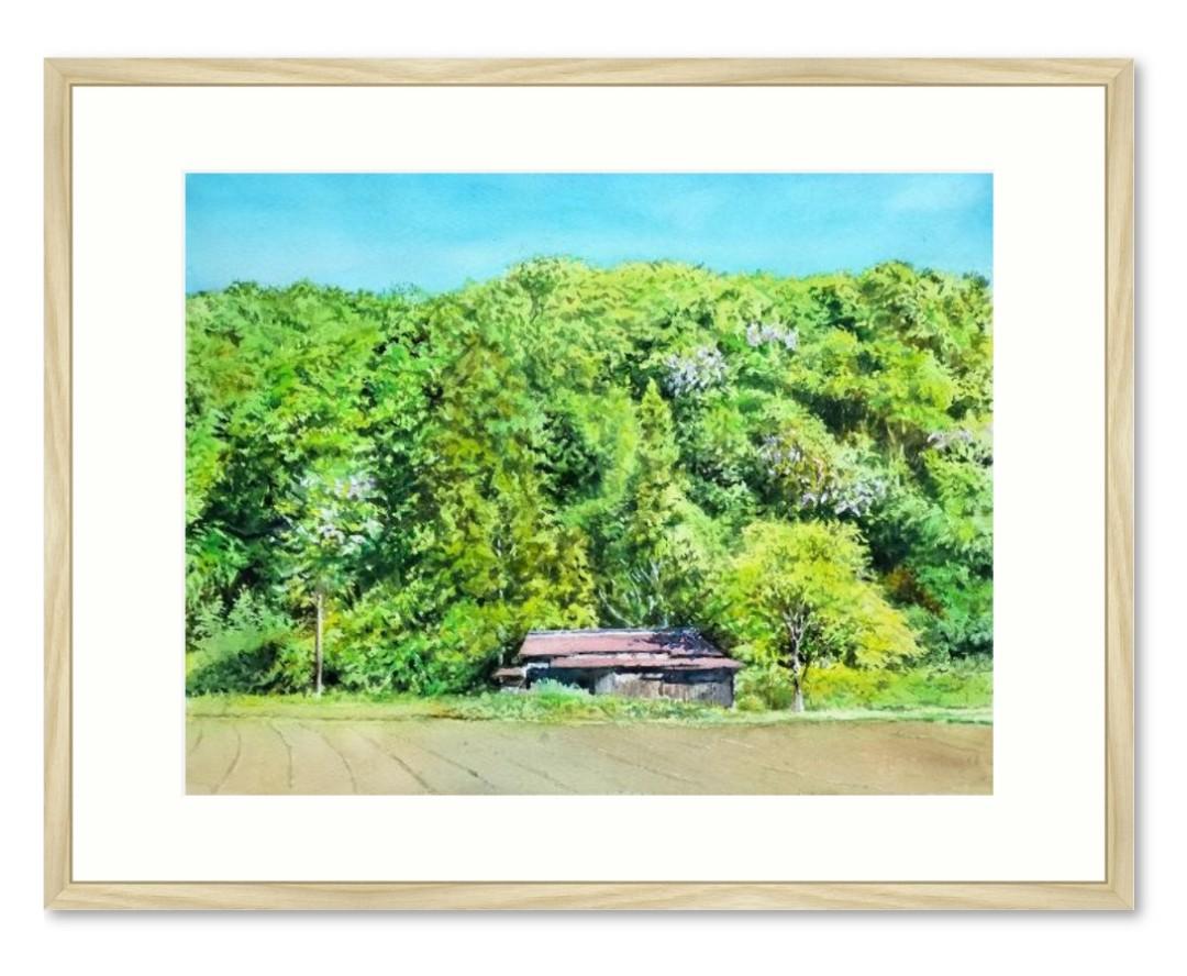 緑の中の廃屋 - FROM ARTIST