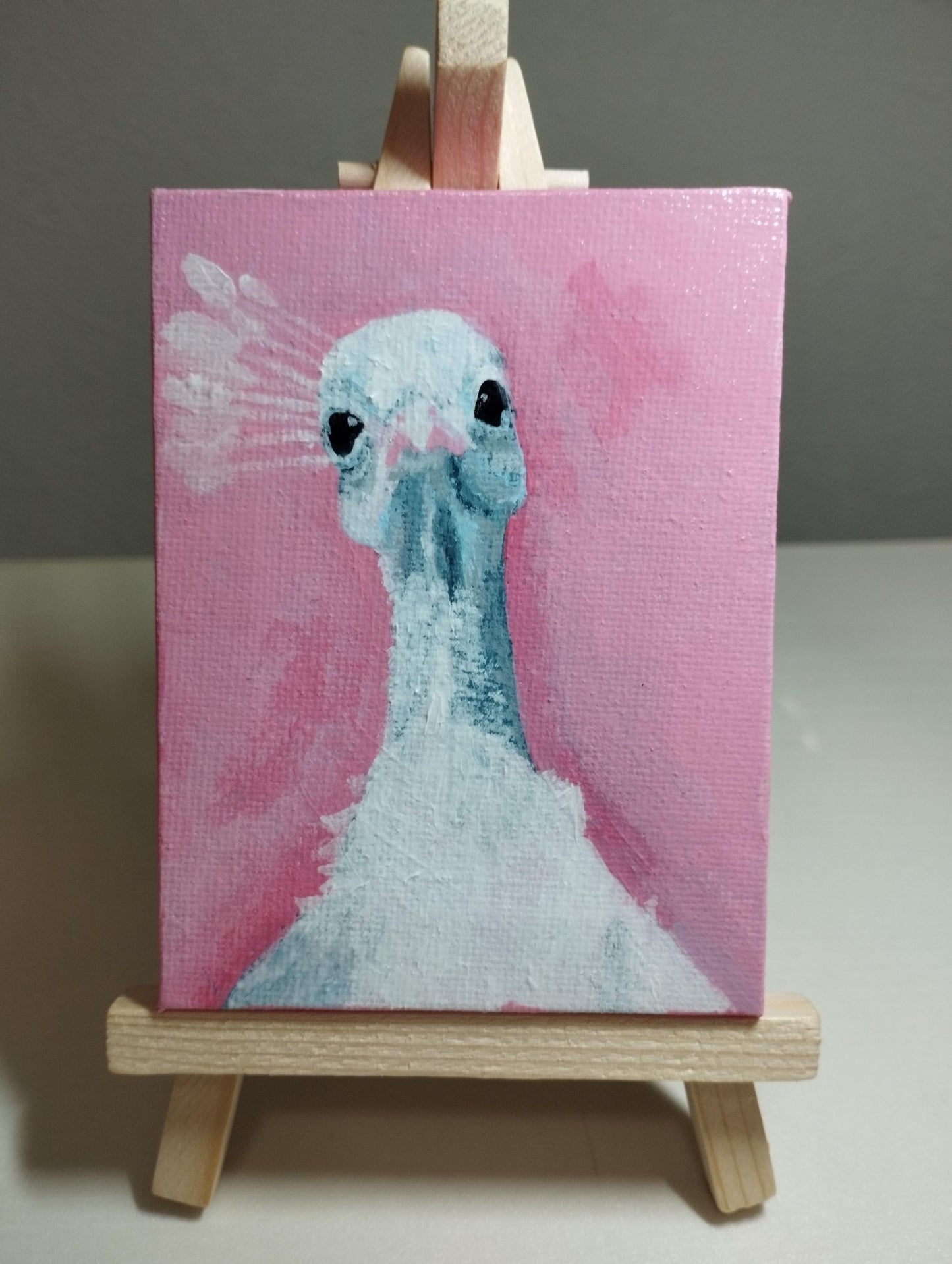 孔雀 - FROM ARTIST