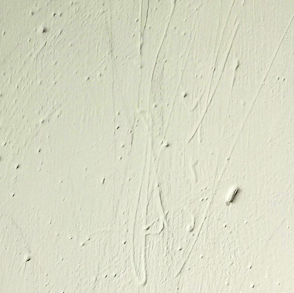 南のはな - FROM ARTIST