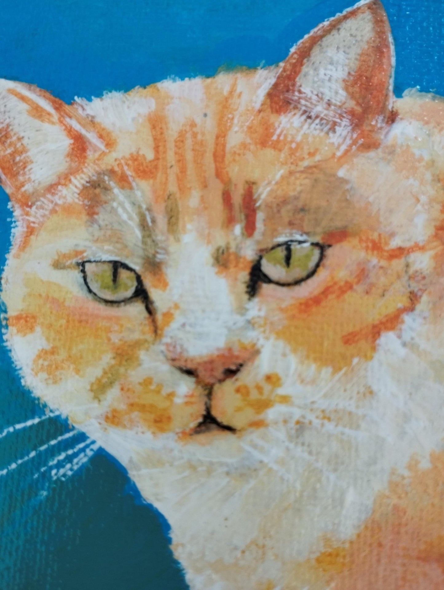 様子を伺う猫 - FROM ARTIST