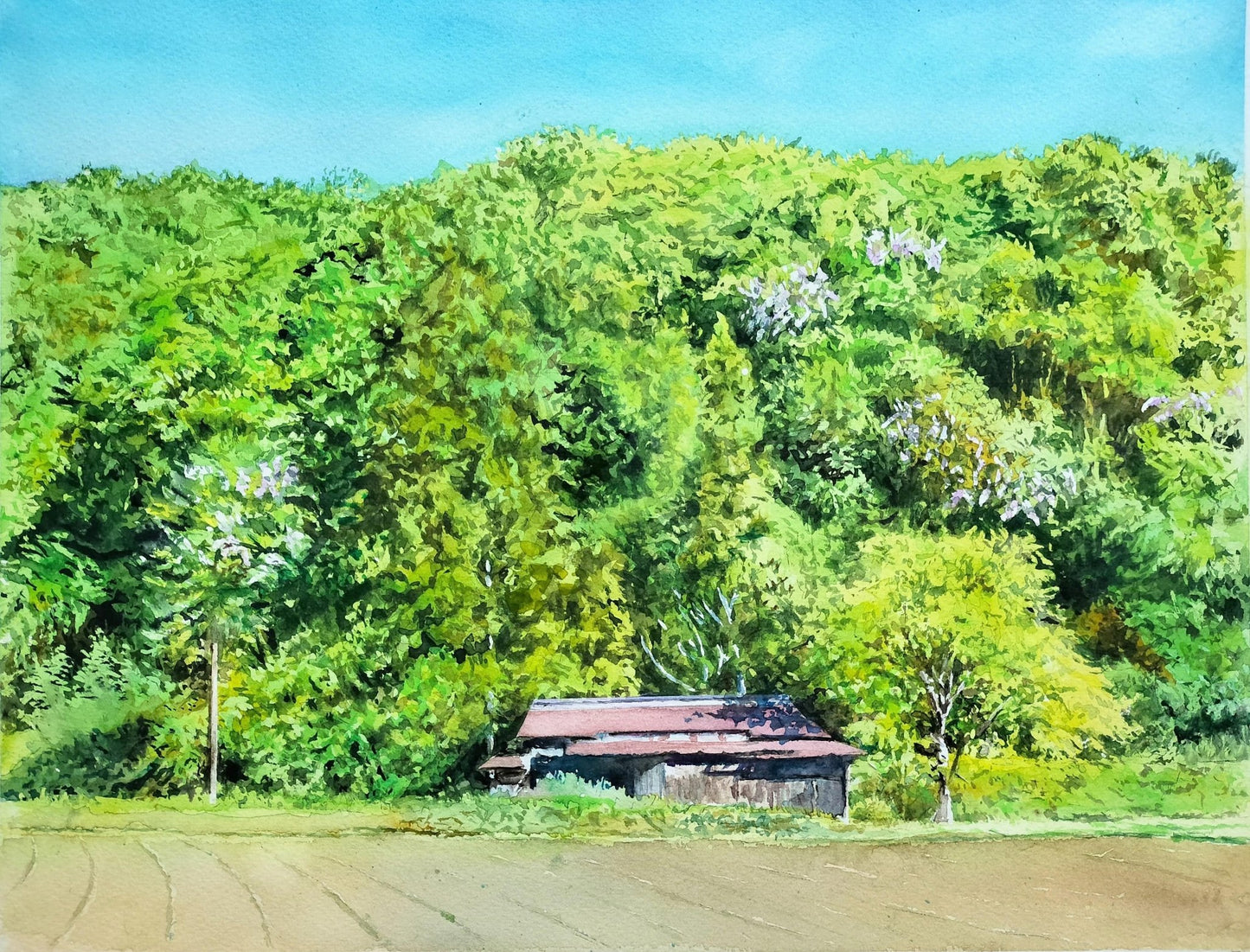 緑の中の廃屋 - FROM ARTIST