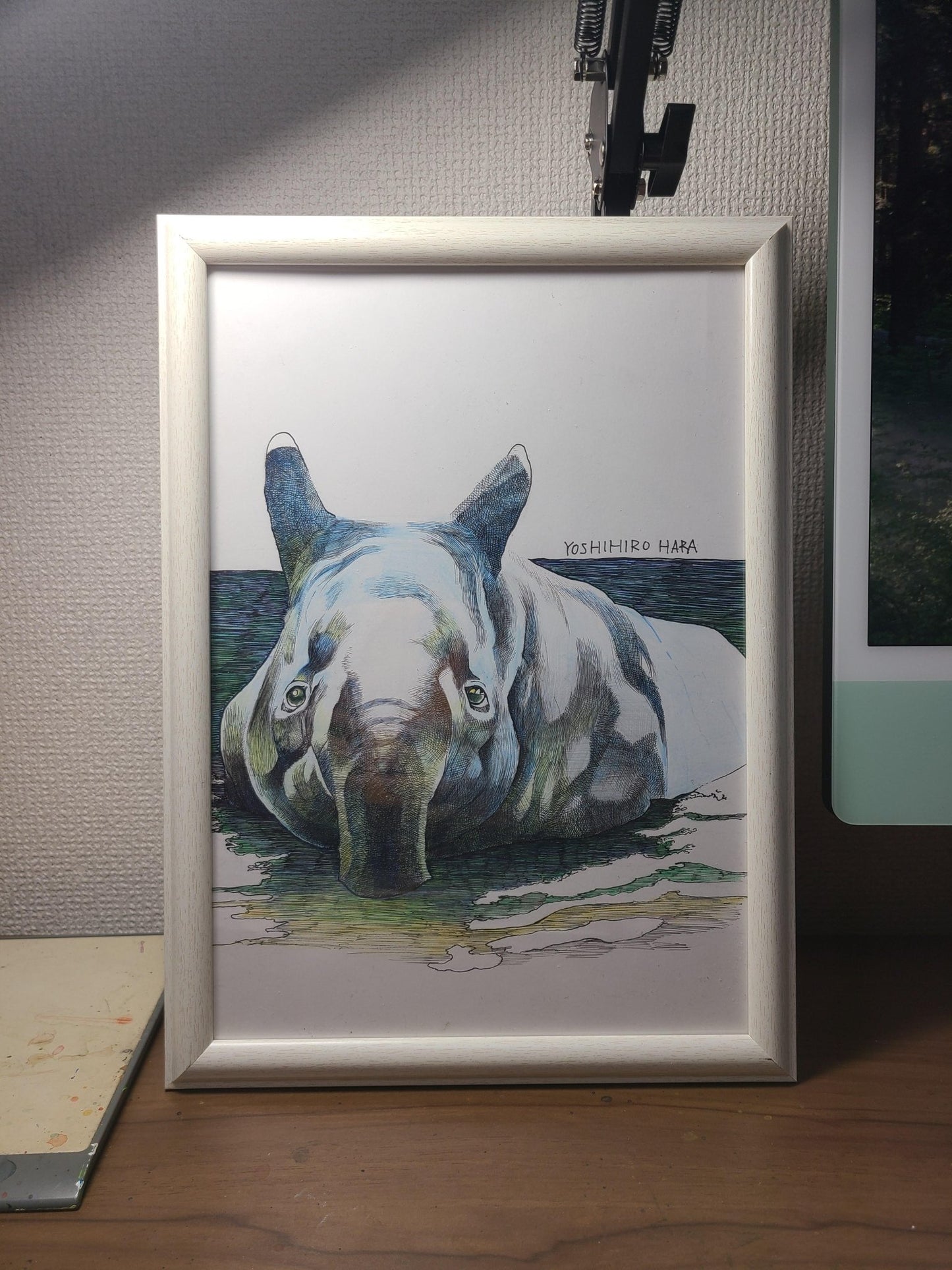 バクの水浴び - FROM ARTIST