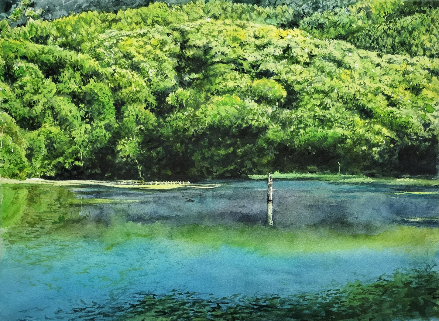 緑と藍色に染まる池 - FROM ARTIST