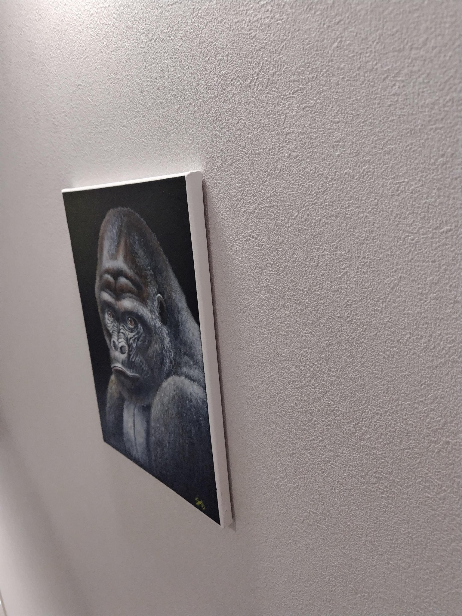 夜とイケメン - FROM ARTIST