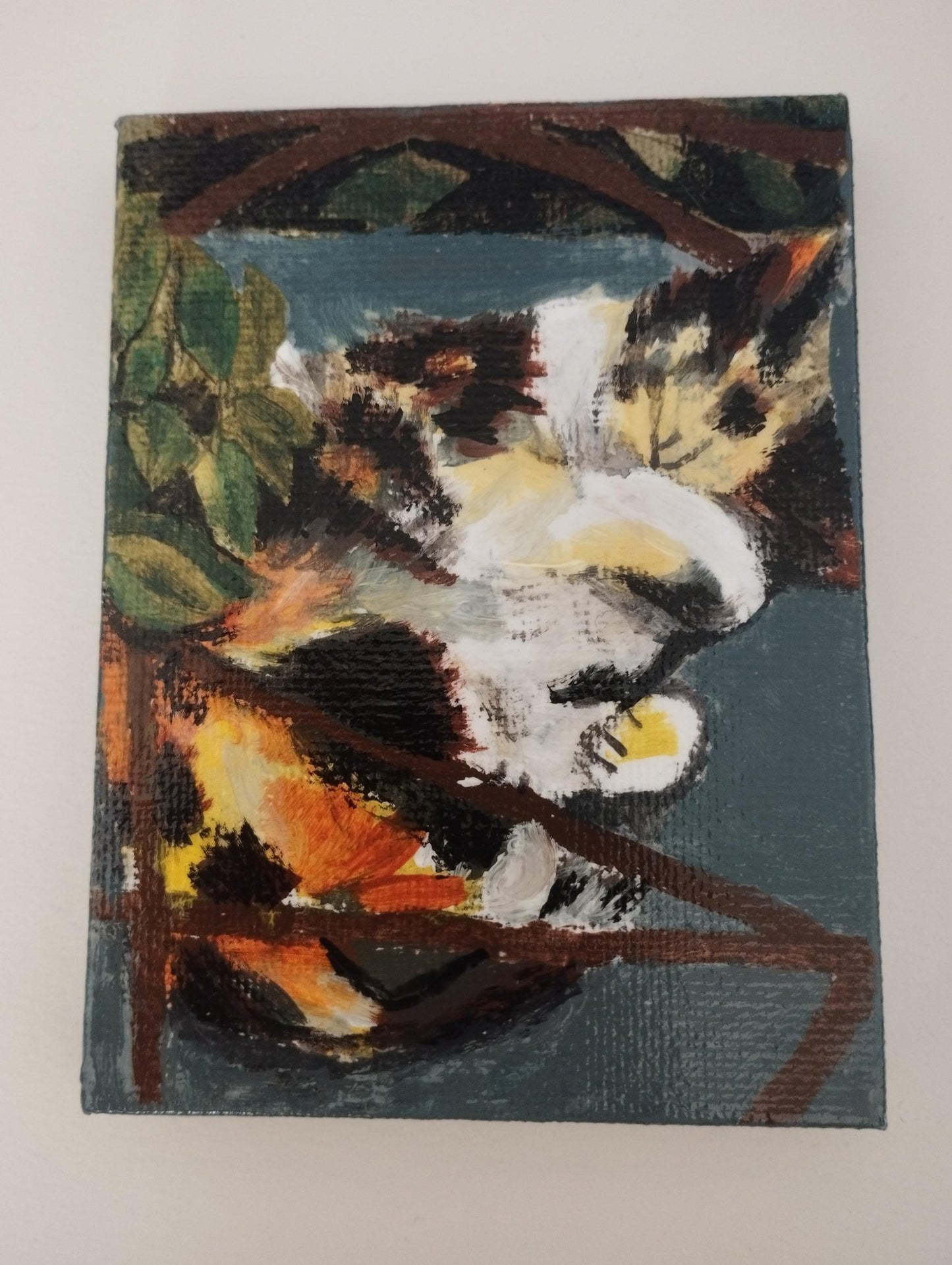 野良猫 - FROM ARTIST