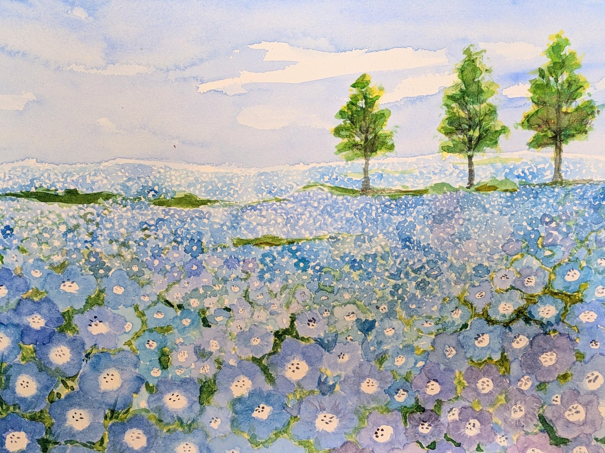 ネモフィラの丘 – FROM ARTIST