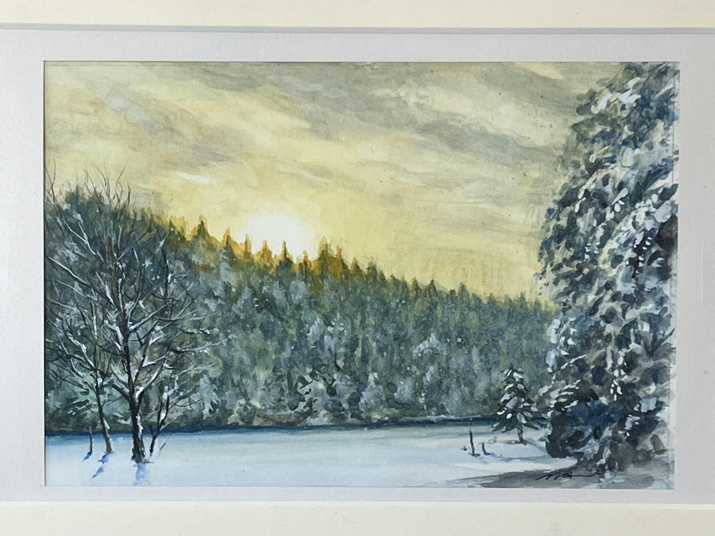 雪の杉林 - FROM ARTIST
