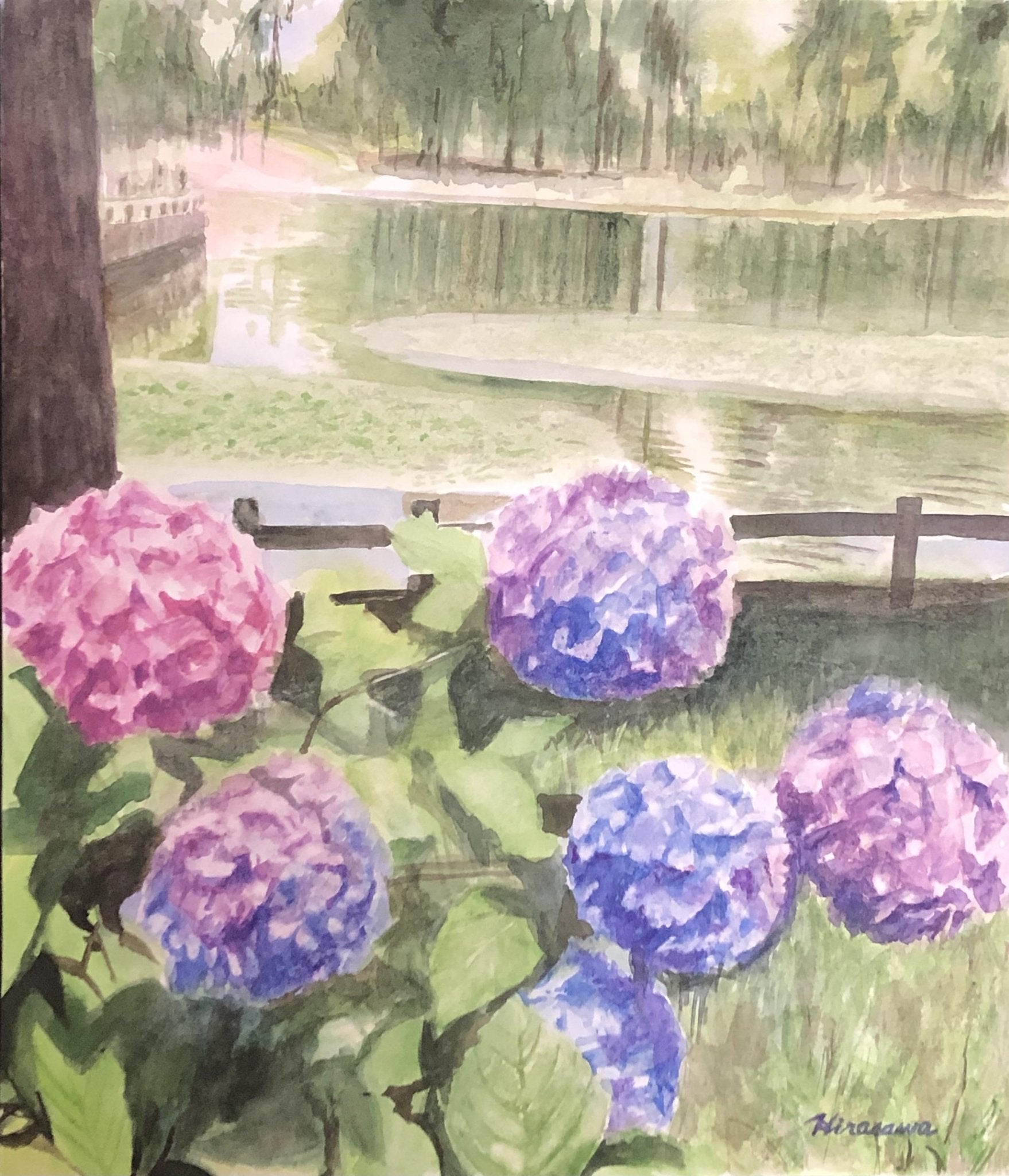 絵画の通販、購入ならFROM ARTIST/作品名：水辺に咲き誇る紫陽花/作家