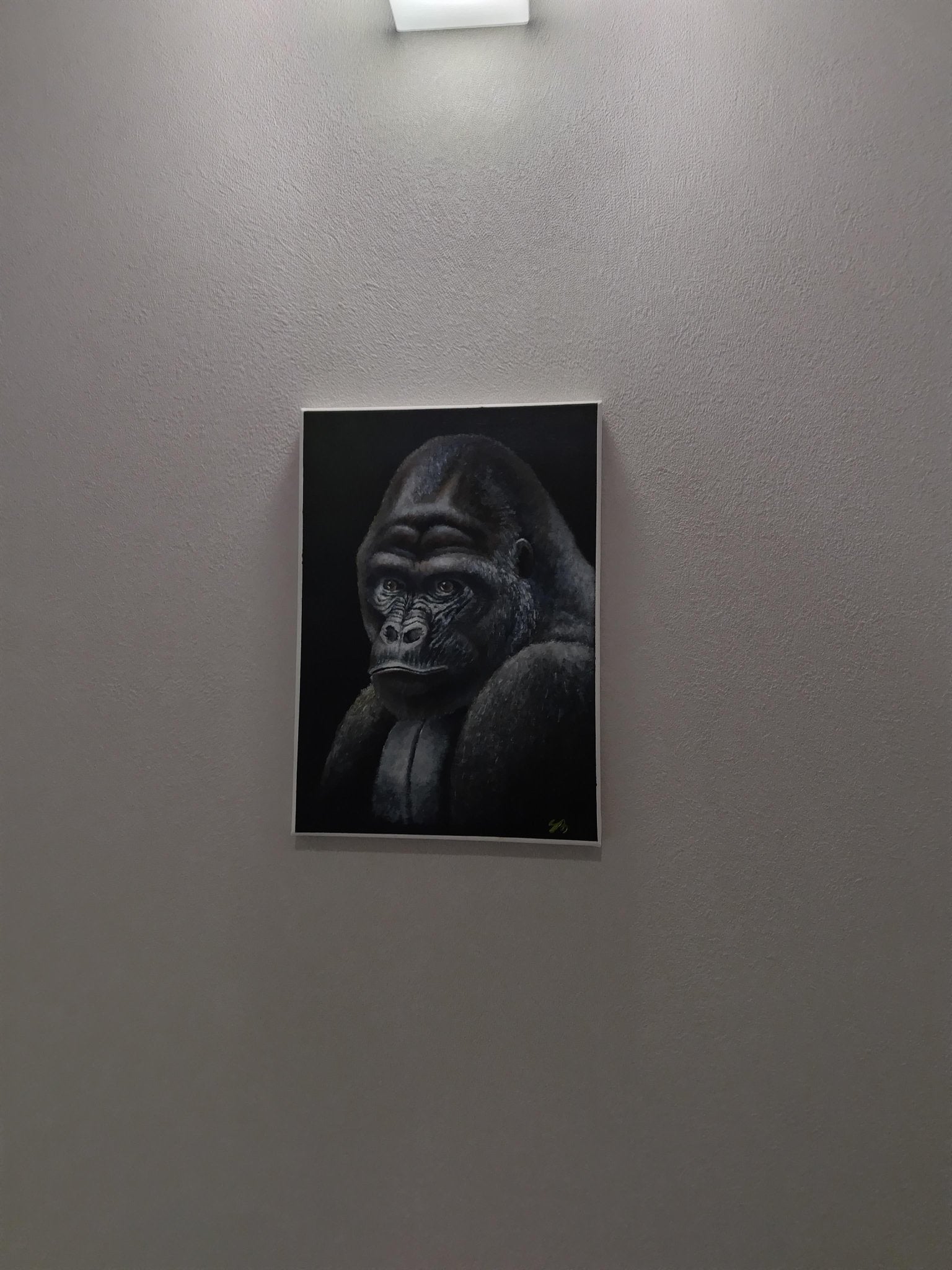 夜とイケメン - FROM ARTIST