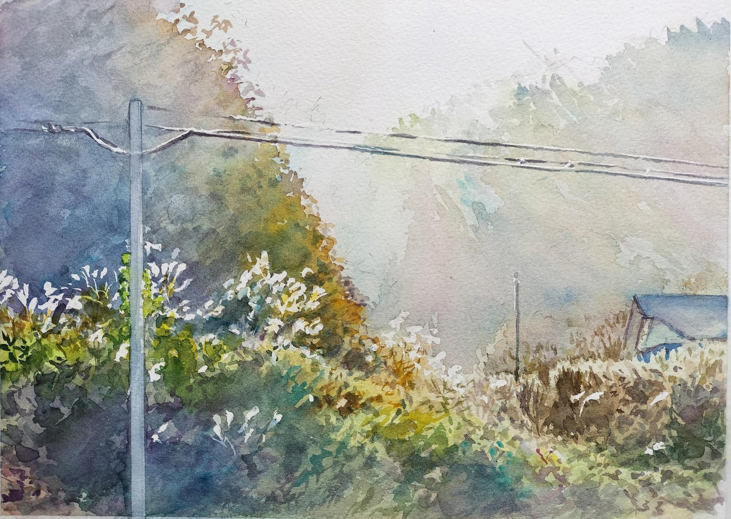 虹色の秋 - FROM ARTIST
