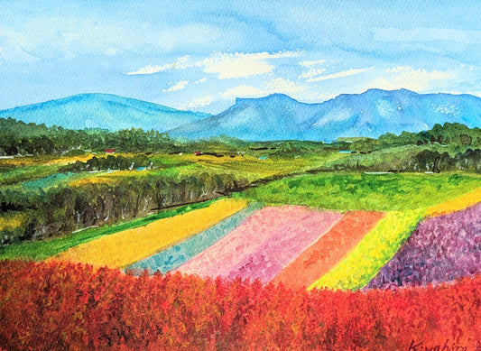 サルビアの丘 - FROM ARTIST